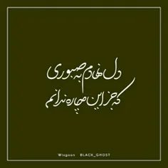 دل نهادم به صبوری
