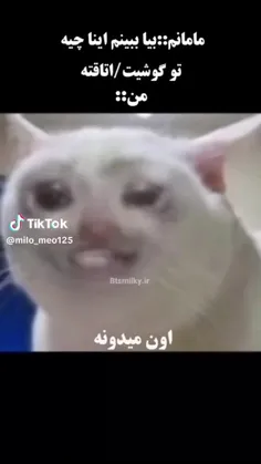 اینو فقط یه عده خدازده درک میکنن💀💔