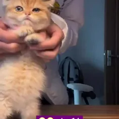 عه یونگییی😂♥