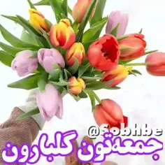 🌹سلام به جمعه مردادماه خوش آمدید🌹