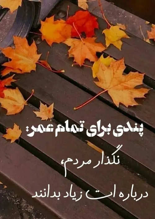  mobarezebanafs 44349106 - عکس ویسگون