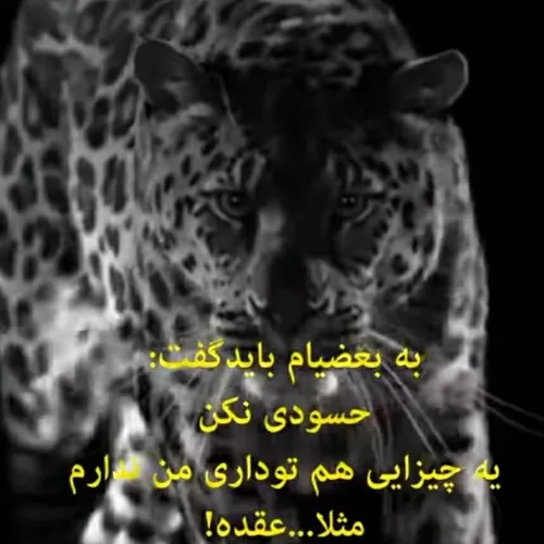  razavi6990 45584922 - عکس ویسگون