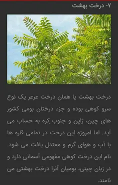 #دانستنی ها #بخون #علمی