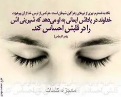 آنانکه از رسیدن به ریشه ها هراس دارند