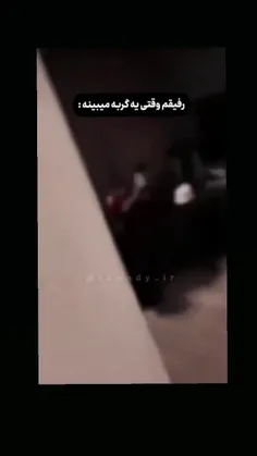 کی عه از زهرا فیلم گرفته 