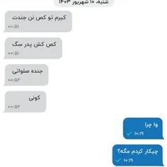 وقتی اسکلی به روایت تصویر: