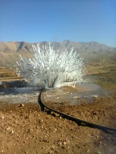 ترکیدن لوله آب وسرمای هوادراستهبان شیرازاین هنرواقعی به و