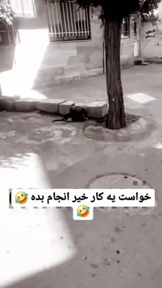 بدتر شد که🤣🤣