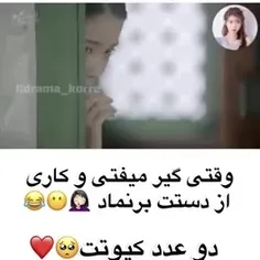 عاشقان ماه 