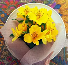 صبح مسافری ست 🌼 