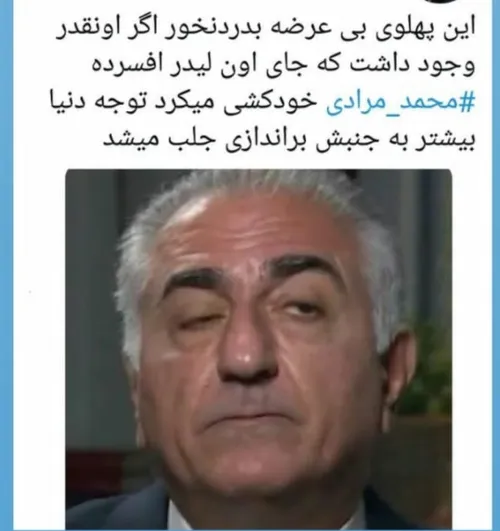 محمد مرادی