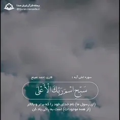 تلاوت زیبا. استاد احمد نعینع