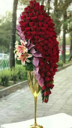 🌷بایک💚 