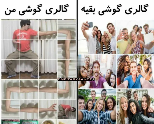 گالری گوشی من Vs گالری گوشی بقیه 😂 | فرکام