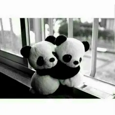 #cute#beautiful#panda