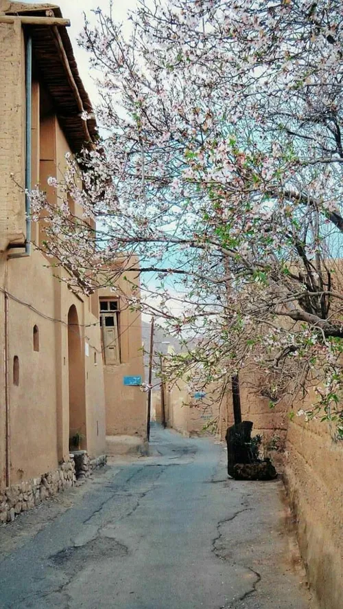 آرام باش! درست می شود...