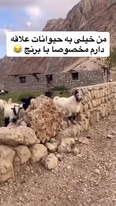 👌👌😂😂🤏🤏🤣🤣