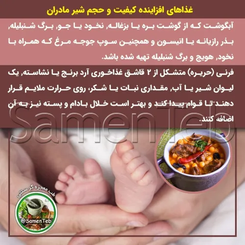 ✅ غذاهای افزاینده کیفیت و حجم شیر مادران