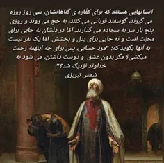 koroshhhh.shiraz 36492858