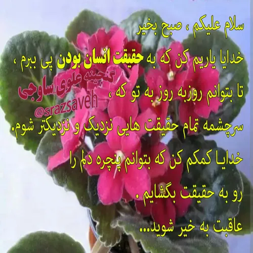 سلام علیکم ، صبح بخیر