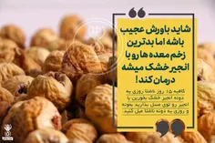 شاید باورش عجیب باشه اما بدترین زخم معده ها رو با انجیر خ