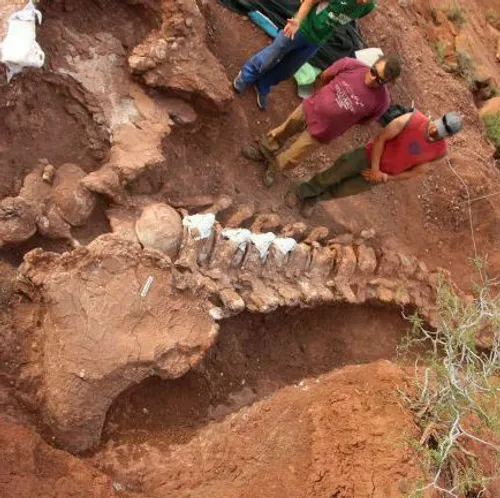 کشف فسیل ۹۸ میلیون ساله که احتمالا به بزرگترین دایناسور ت