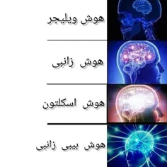 هوش ماب ها