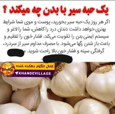 یک حبه سیر با بدن چه میکند؟ 🧐