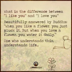 تفاوت عشق و دوست داشتن از زبان بودا