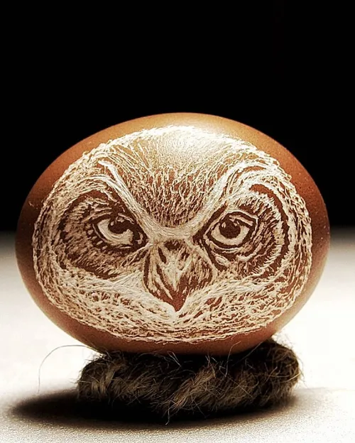 خلاقیت هنر نقاشی تخم مرغ خوراکی