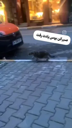 وای این کیوتا رو ببین