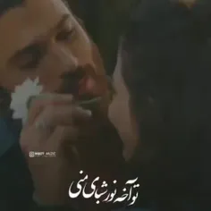 تو آخه نور شب های منی !