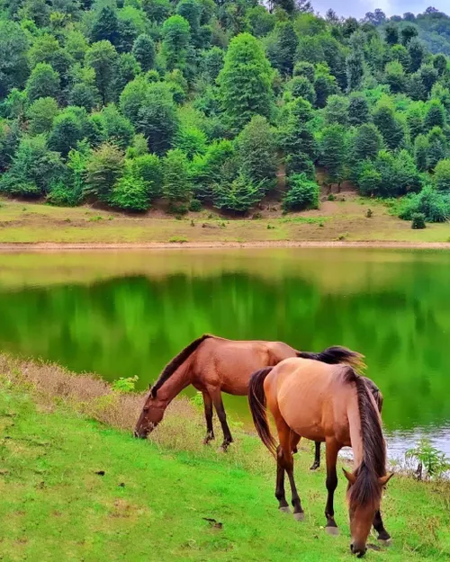 خدایا بهترین درس ها را در زمان سختی آموختم و دانستم زندگی