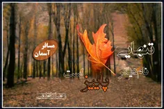 تنهایی
