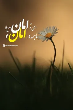 ای تو امان هربلا....