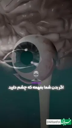 بدن شما نمیدونه که چشم هم یکی از اعضای بدنه؟