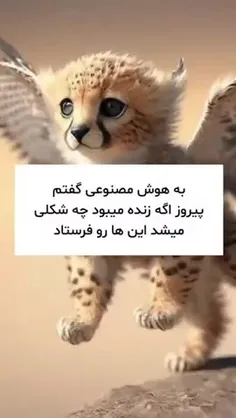 پیروز ☹️