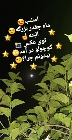 نورش اونقد زیاده موقع خواب هوس میکنم برم خاموشش کنم😅