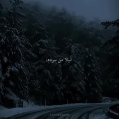 عاشق این اهنگم