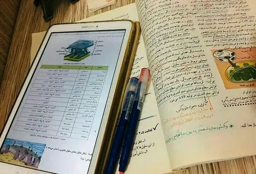 الهی به امید تو