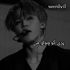 اسلاید دو نینا 