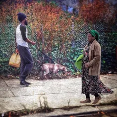 Morning stroll, Trestle Glen, Oakland. California.  Photo