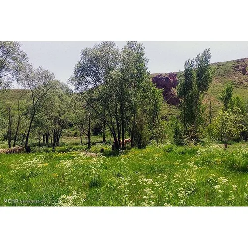 روستای میاردان دربخش مرکزی شهرستان بستان آباد استان آذربا