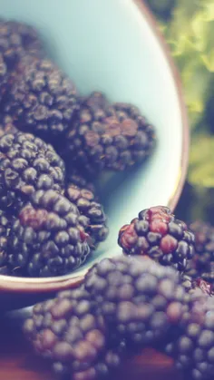 #blackberries