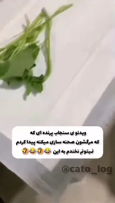 گست پوستر