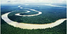 هیچ پلی بر روی رود آمازون وجود ندارد.