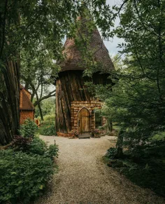 کاش یه خونه یا یه کلبه‌ی چوبی داشتم وسط جنگل...