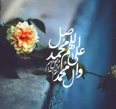 💠 قالَ‌الإمامُ‌الْحَسَنِ‌الْعَسْکَری: