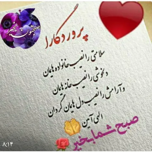 صبح آرامشی برای دوستان آرزو میکنم