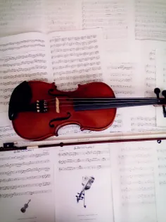 my violin,my life